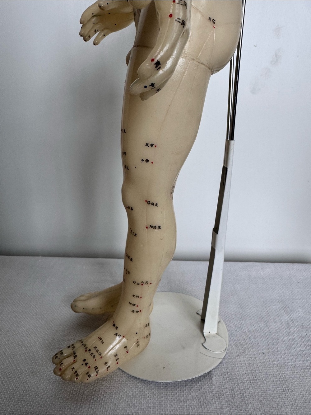 Vintage Acupuncture Model Nude Male Rubber Dummy w Vintage Avon Book - Picture 11 of 12